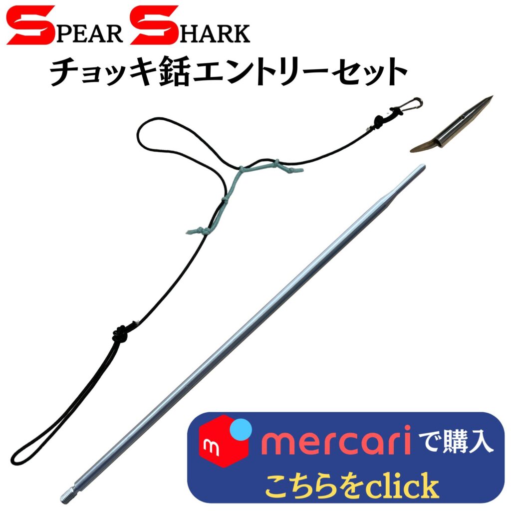 製品リンク：チョッキ銛エントリーセット